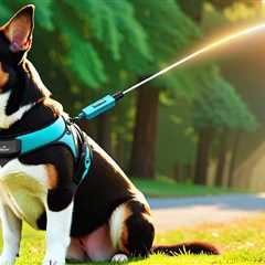 What Are the Advantages of Microcontroller Based Pet Care Devices?